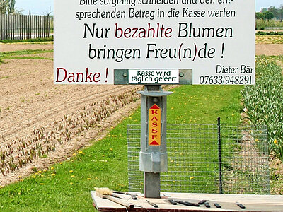 KassenpfeilWeb2.jpg  