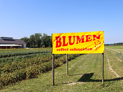 Galerie_Werbemittel.jpg  