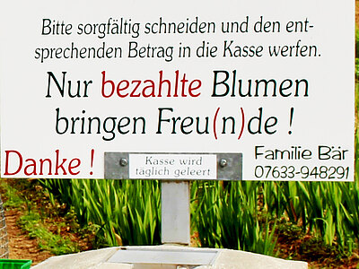 KlebefolienWeb2.jpg  