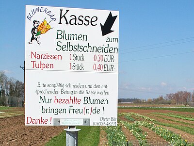 Privat_2006_378.jpg  