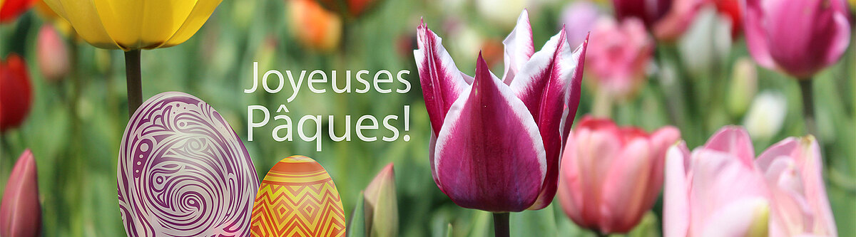 FroheOstern_franz_blumenbaerGmbH.jpg  