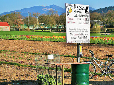 Galerie_Kassen.jpg  