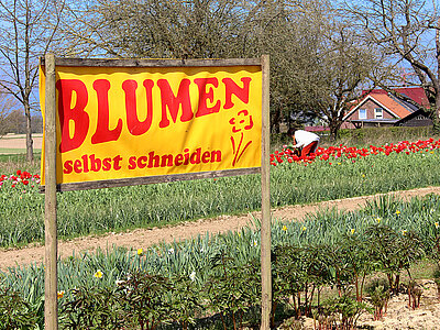 Produkte_Werbemittel.jpg  