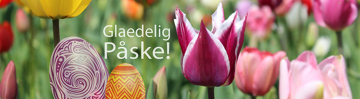 FroheOstern_daenisch_blumenbaerGmbH.jpg  