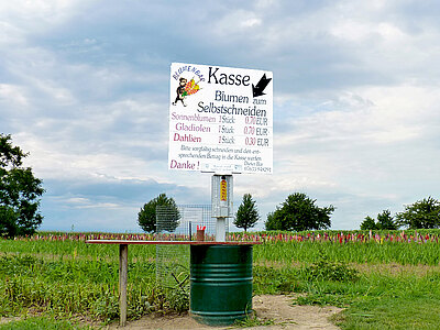 TonnenkasseWeb4.jpg  