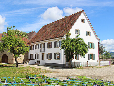 Buero_blumenbaer_Web.jpg  