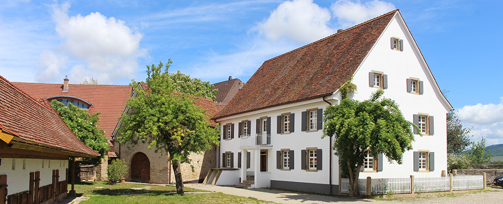 Buero_blumenbaer_Web.jpg  