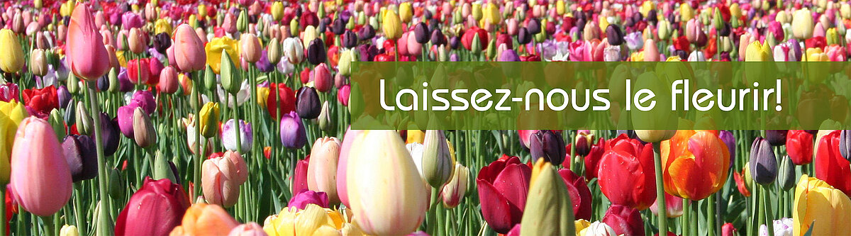 Tulpen_franzoesisch.jpg  