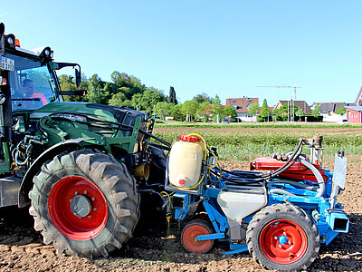 SonnenblumensaeenWeb.jpg  