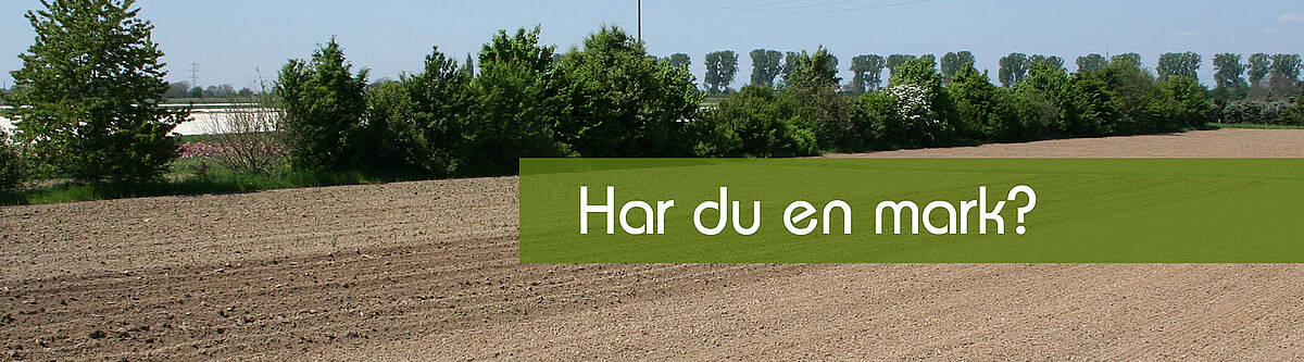 Acker_daenisch.jpg  